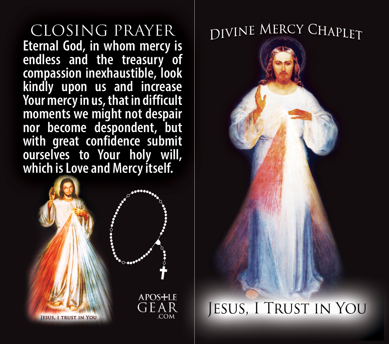 Divine Mercy Chaplet Prayer Cards - 25-Pack